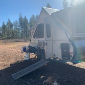 Review photo of Control Road - Dispersed Camping by Emily Z., October 21, 2019