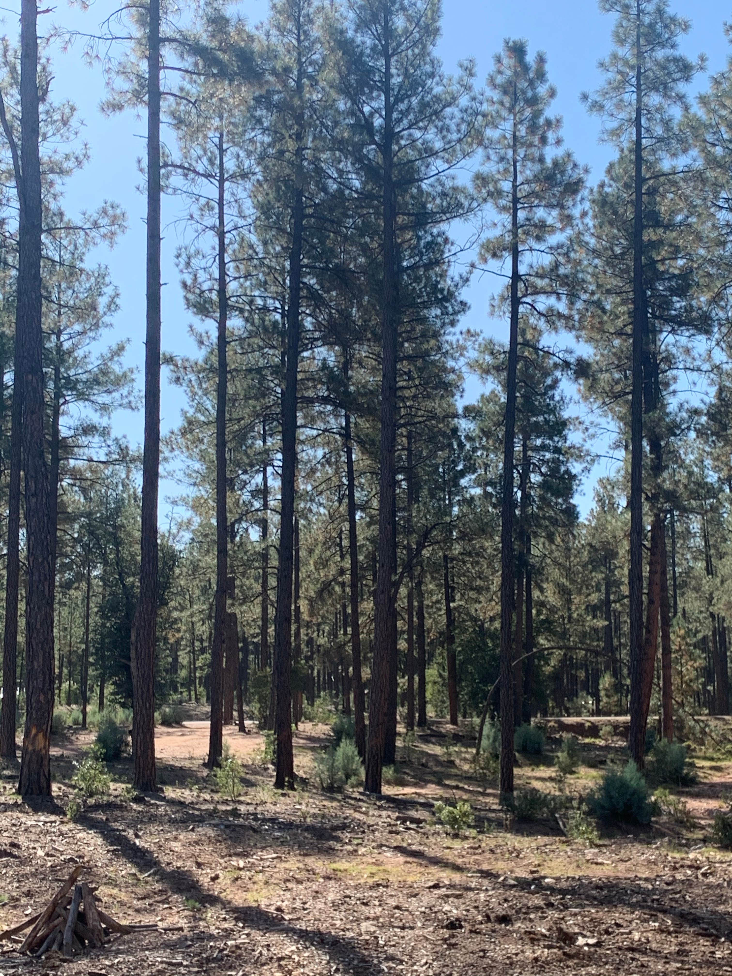 Camping near Upper Tonto Creek — Tonto National Forest: Control Road - Dispersed Camping, Sun Valley, Arizona