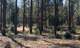 Camping near Rim Road Ridge: Control Road - Dispersed Camping, Sun Valley, Arizona