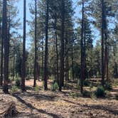 Review photo of Control Road - Dispersed Camping by Emily Z., October 21, 2019