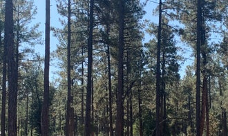Camping near Bear Canyon Lake and Camping Area: Control Road - Dispersed Camping, Sun Valley, Arizona