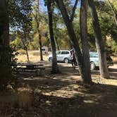 Review photo of Williams Bottom Campground by Isabelle K., October 21, 2019