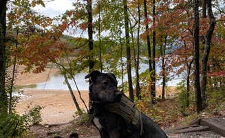 Ali F.'s photo of camping with pets at Chattahoochee-Oconee/Morganton Point near Epworth, GA