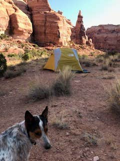Isabelle K.'s photo of camping with pets at Gemini Bridges Campground near Arches National Park