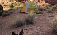 Isabelle K.'s photo of camping with pets at Gemini Bridges Campground near Arches National Park