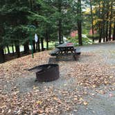 Review photo of Lyman Run State Park Campground by Ashley L., October 21, 2019