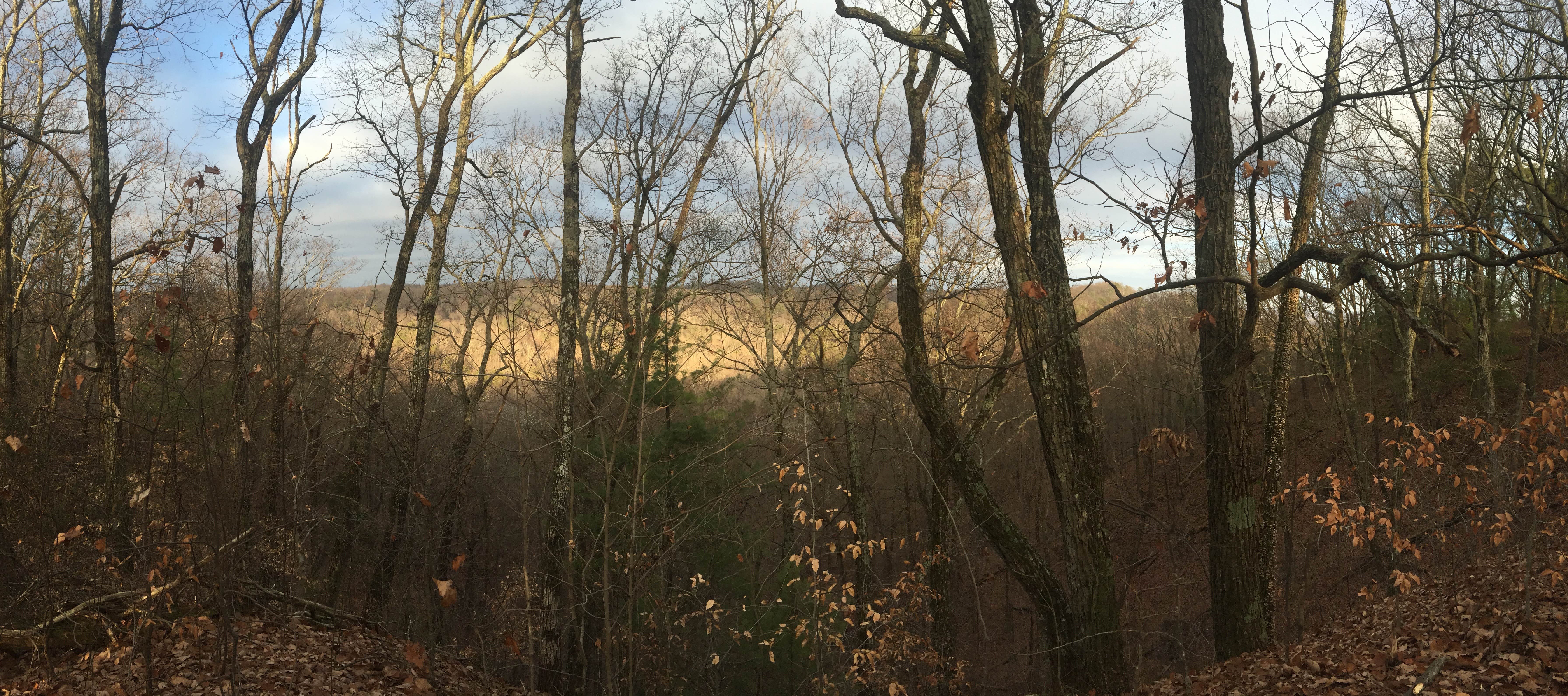 Camper submitted image from Knobstone Trail - 4