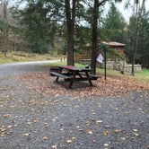 Review photo of Lyman Run State Park Campground by Ashley L., October 21, 2019