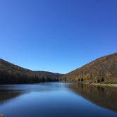 Review photo of Lyman Run State Park Campground by Ashley L., October 21, 2019