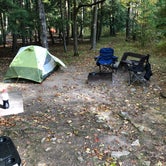 Review photo of Daisy Field Campground — Potawatomi State Park by Jack G., October 21, 2019