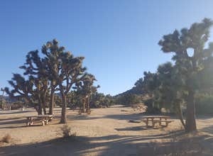 Black Rock Campground — Joshua Tree National Park