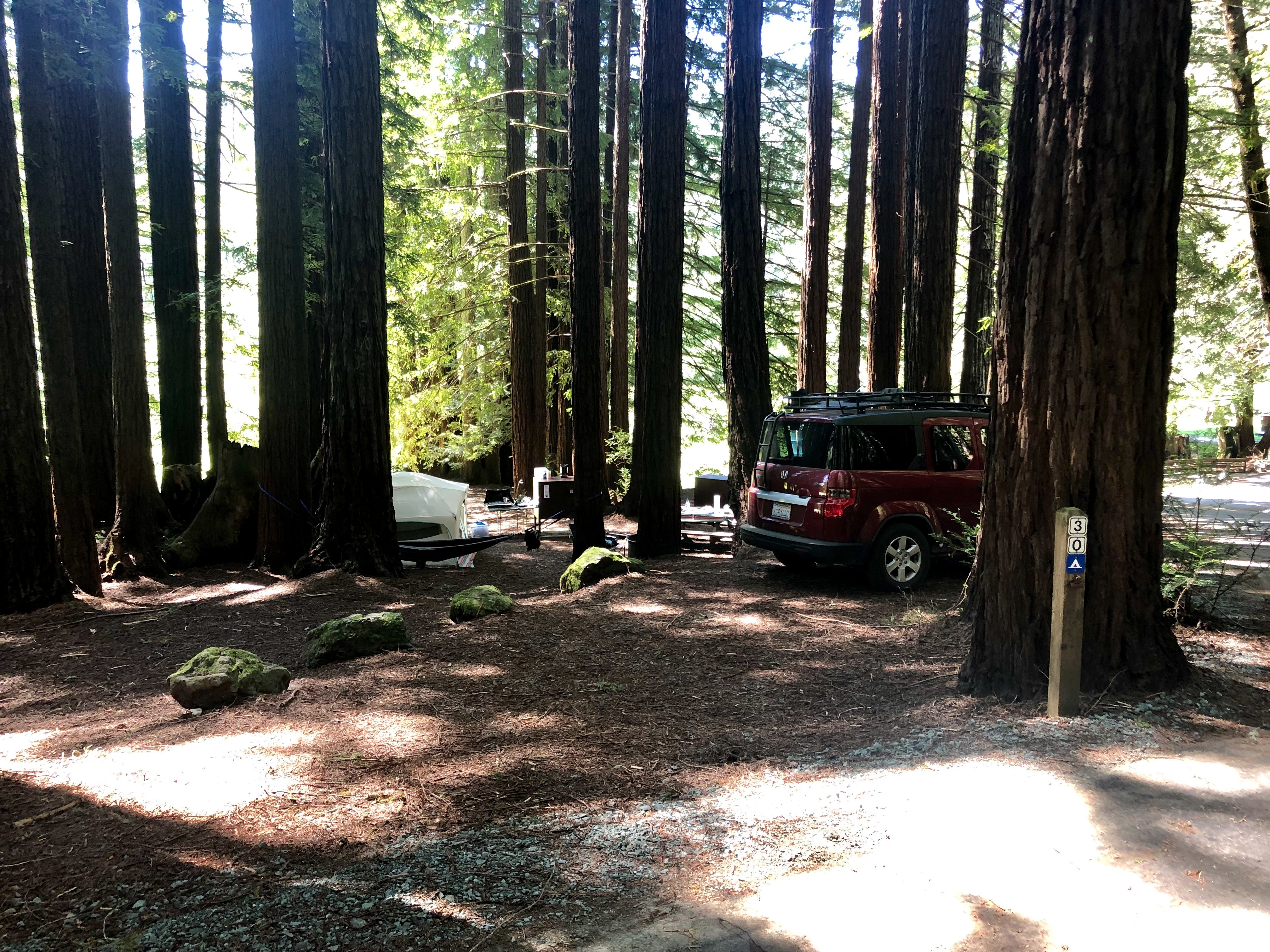 Site 30 is great for campers or RVs. Big site