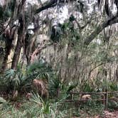 Review photo of Skidaway Island State Park Campground by Kevin E., October 22, 2019