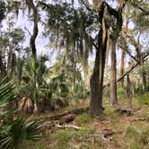 Review photo of Skidaway Island State Park Campground by Kevin E., October 22, 2019