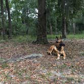 Review photo of Skidaway Island State Park Campground by Kevin E., October 22, 2019