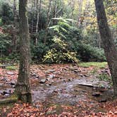 Review photo of Mash Fork Campground — Camp Creek State Park by Kevin E., October 22, 2019