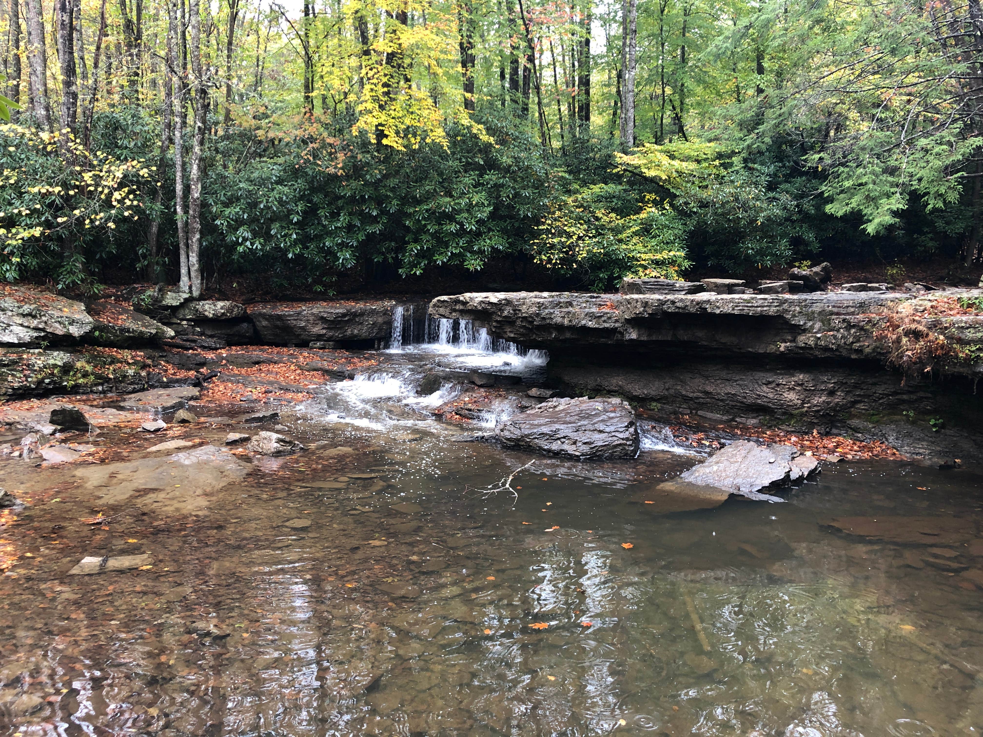 Camper-submitted photo at Mash Fork Campground — Camp Creek State Park near Herndon, WV