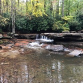 Review photo of Mash Fork Campground — Camp Creek State Park by Kevin E., October 22, 2019