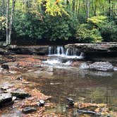 Review photo of Mash Fork Campground — Camp Creek State Park by Kevin E., October 22, 2019