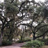 Review photo of Skidaway Island State Park Campground by Kevin E., October 22, 2019