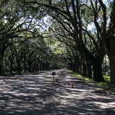 Review photo of Skidaway Island State Park Campground by Kevin E., October 22, 2019