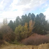 Review photo of Anderson Cove (uinta-wasatch-cache National Forest, Ut) by Alan B., October 22, 2019