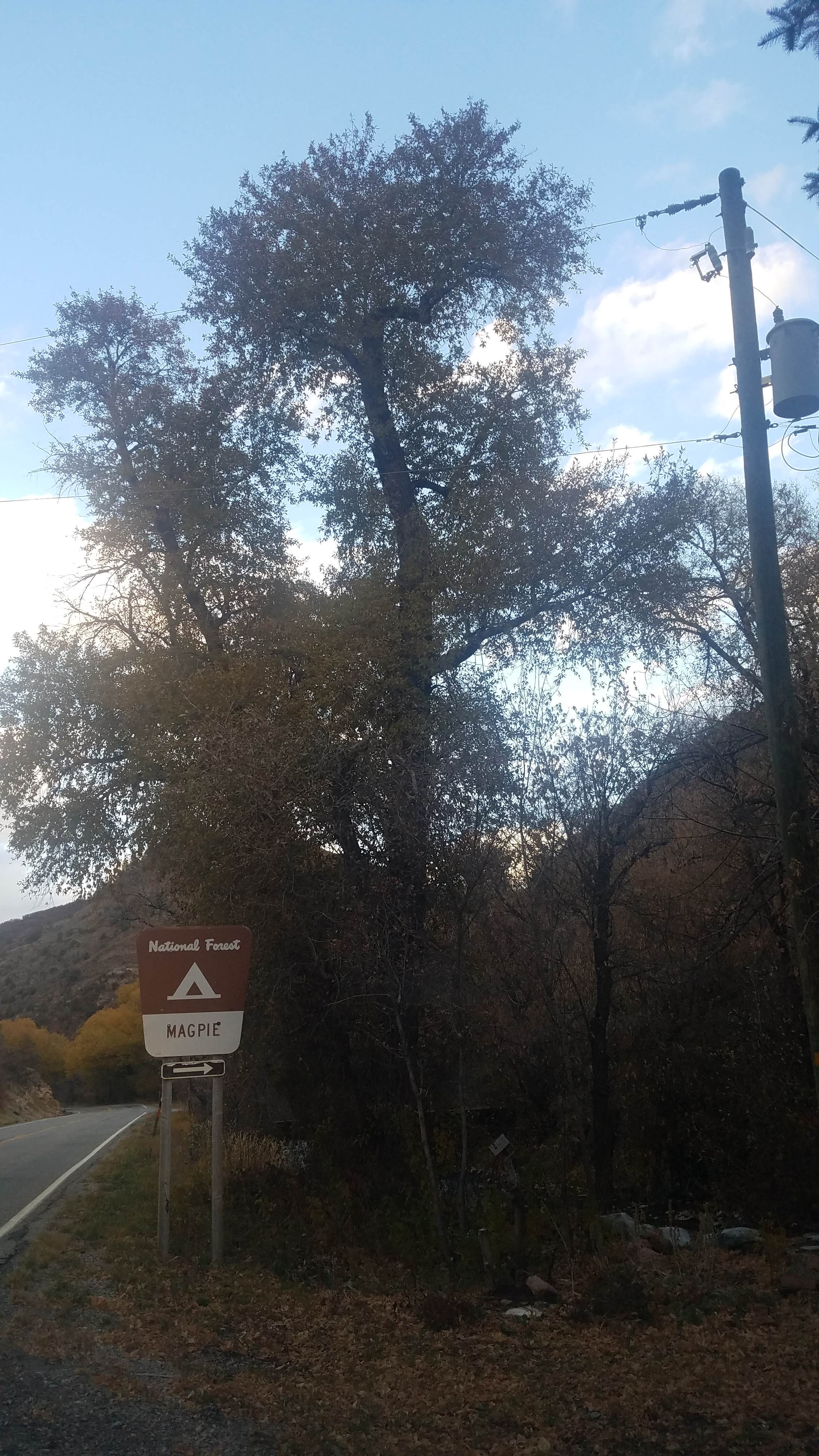 Camper-submitted photo at Magpie Campground near Huntsville, UT