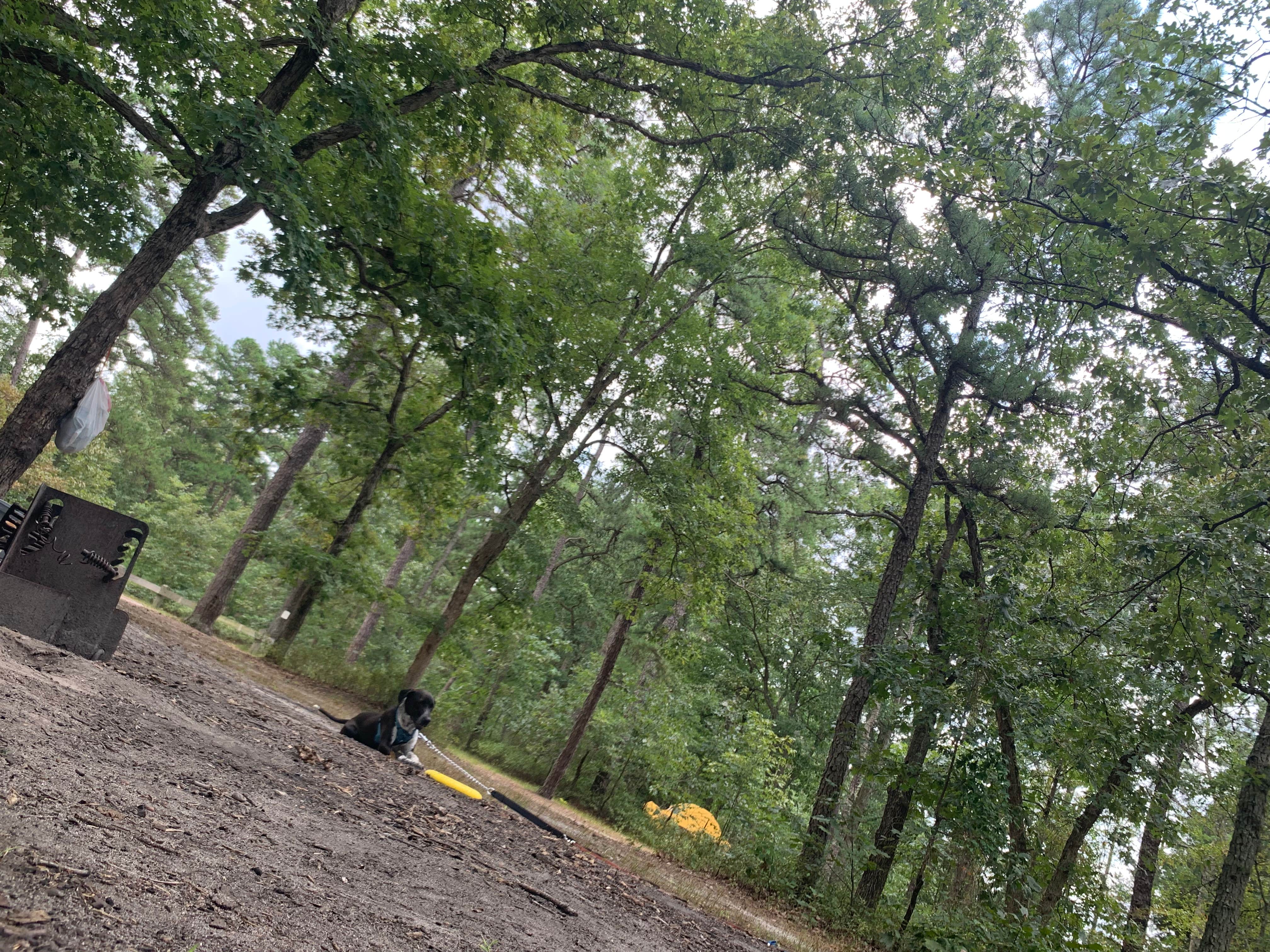 Camper-submitted photo at Mullica River — Wharton State Forest near Hammonton, NJ