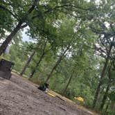 Review photo of Wharton State Forest Mullica Campground by Dania J., October 22, 2019