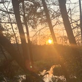 Review photo of Wharton State Forest by Dania J., October 22, 2019