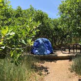 Review photo of Morefield Campground — Mesa Verde National Park by Katie S., August 16, 2017