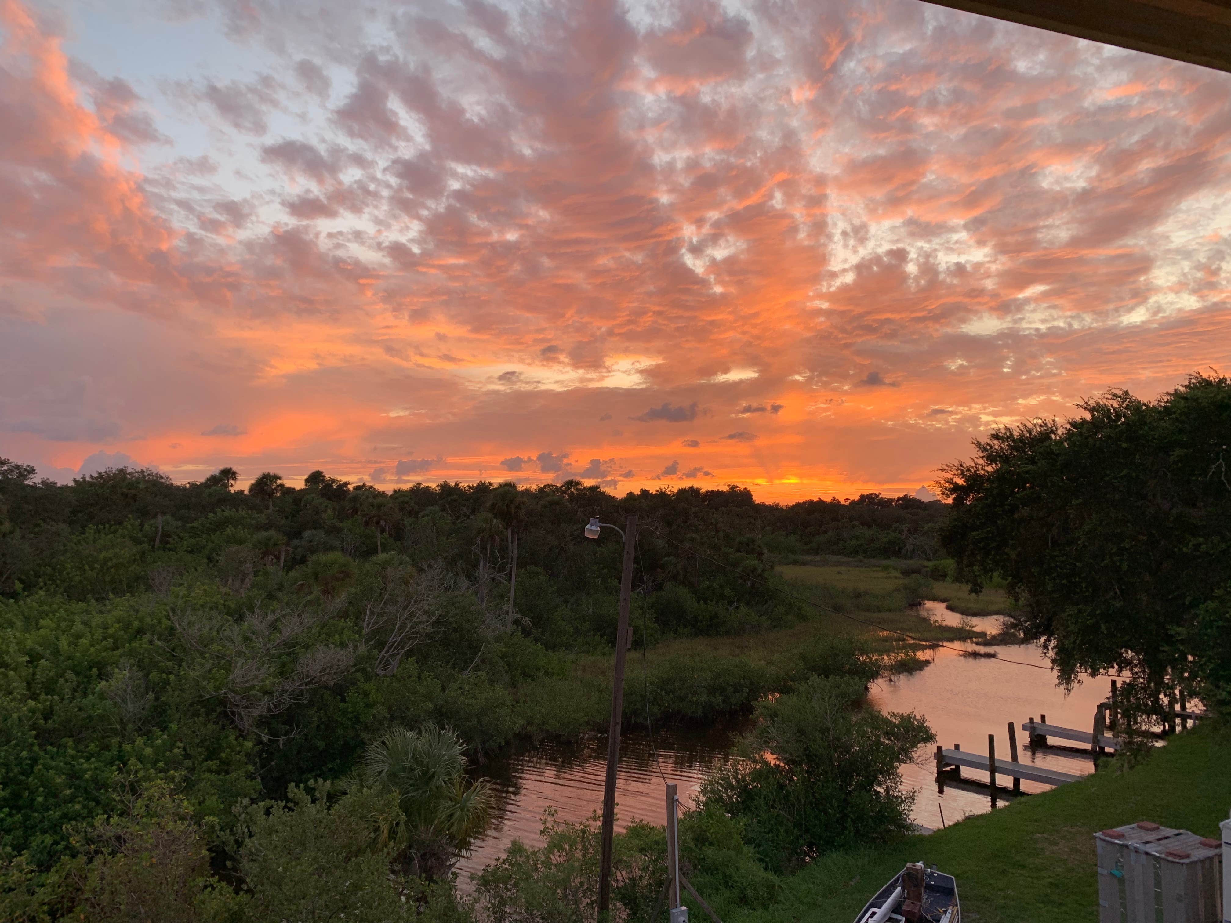 View All
