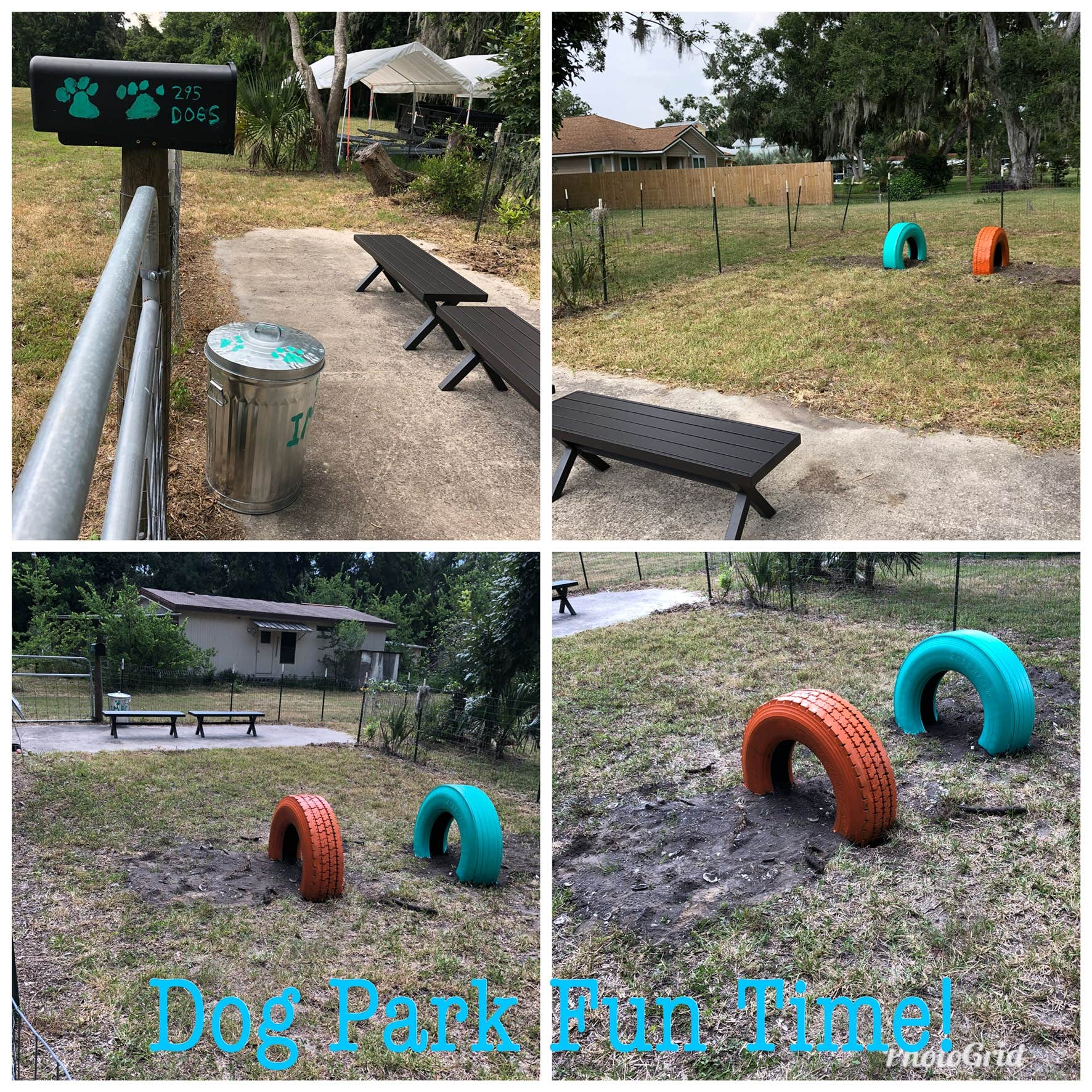 Dog park!