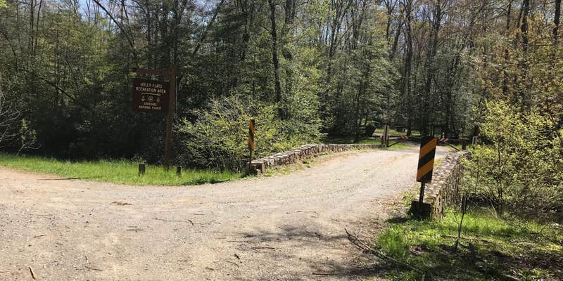 Camper submitted image from Holly Flats