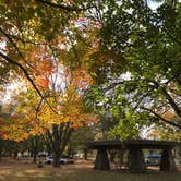 Review photo of Spruce Run Recreation Area by Yolanda  T., October 22, 2019