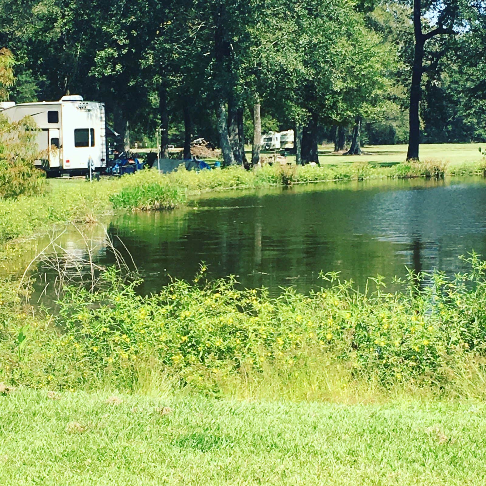 Camper-submitted photo at Quiet Oaks RV Park near Jennings, LA
