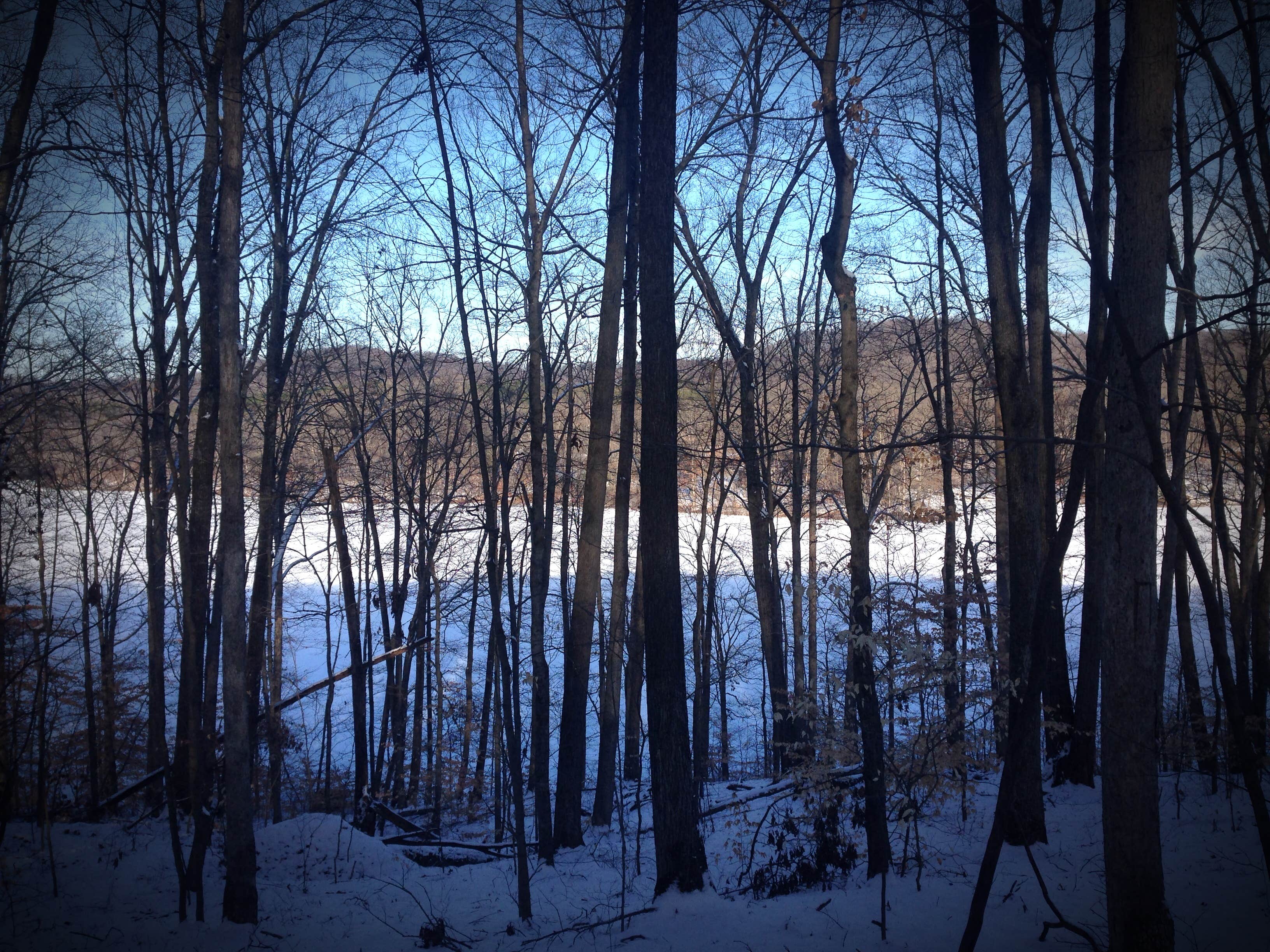 Camper submitted image from Yellowwood State Forest - 2