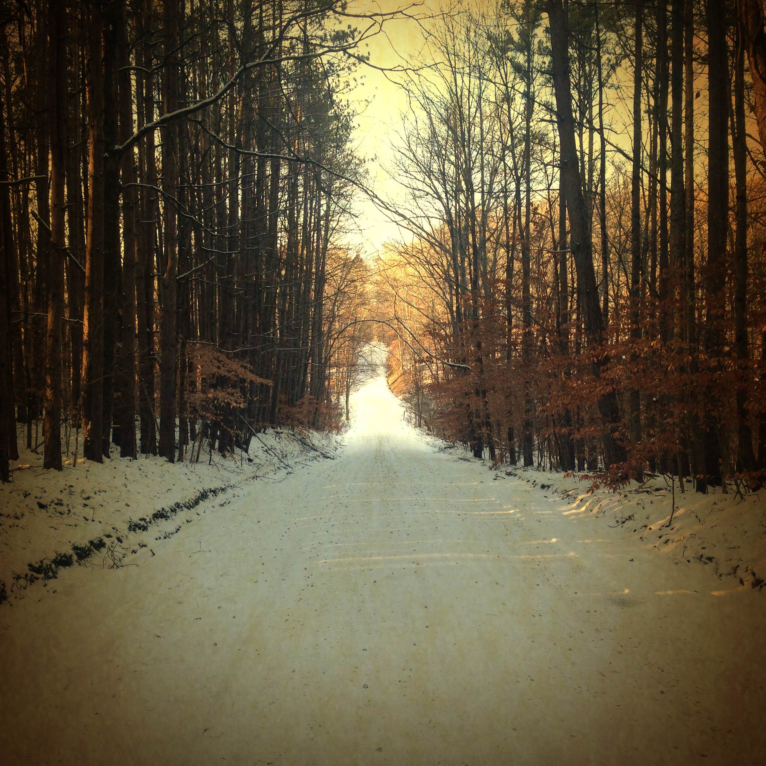 Camper submitted image from Yellowwood State Forest - 5