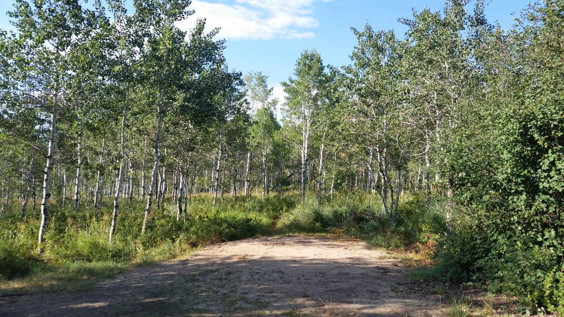 Little Deer Creek Wasatch Mountain State Park The Dyrt