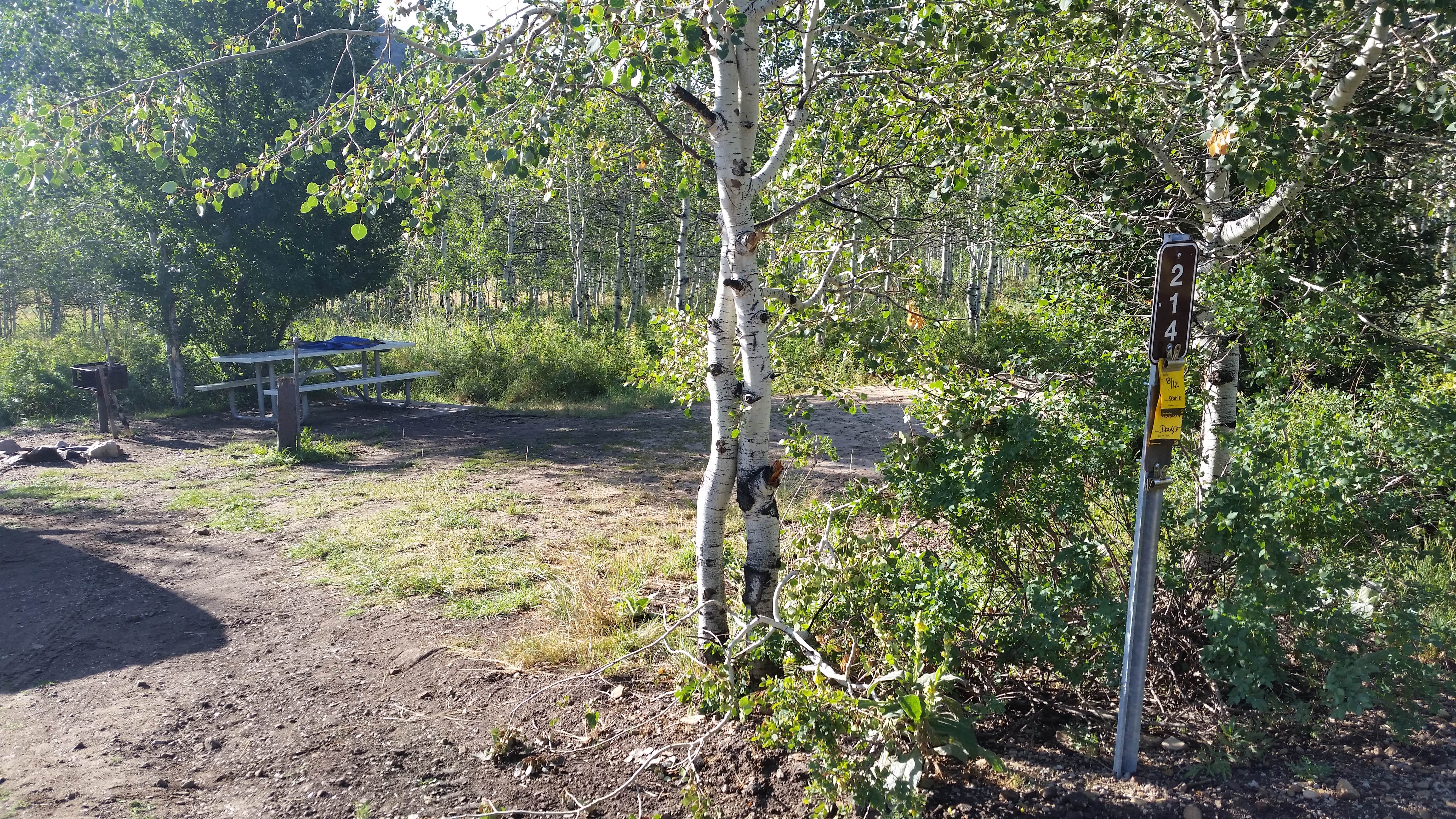 Camper submitted image from Pine Creek - Cottonwood Campground — Wasatch Mountain State Park - 3