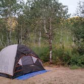 Review photo of Pine Creek - Cottonwood Campground — Wasatch Mountain State Park by Jim H., August 16, 2017