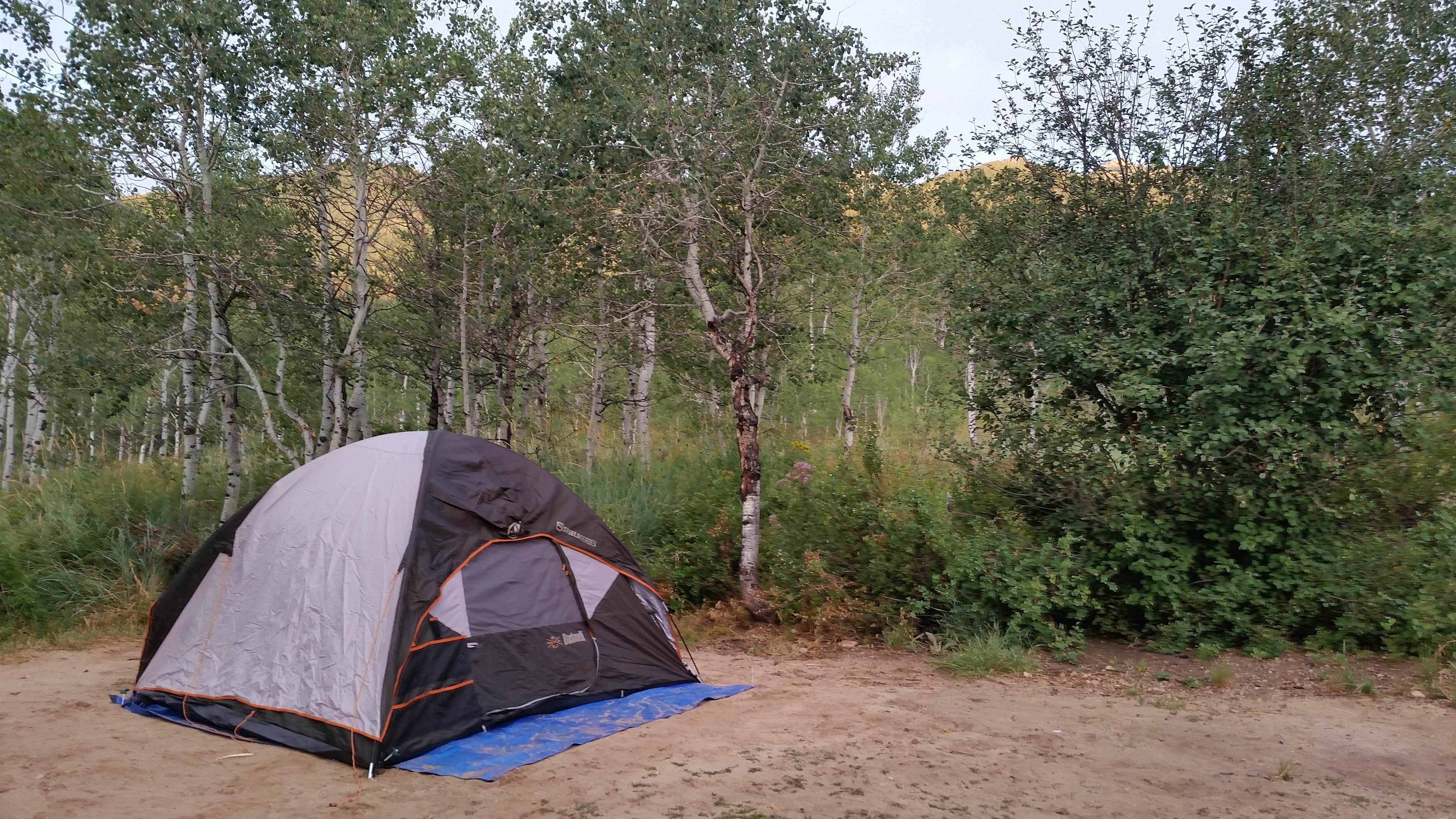 Camper submitted image from Pine Creek - Cottonwood Campground — Wasatch Mountain State Park - 2