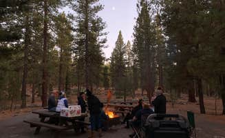 Jon K.'s photo at Emigrant Group Campground near Sun Valley, NV