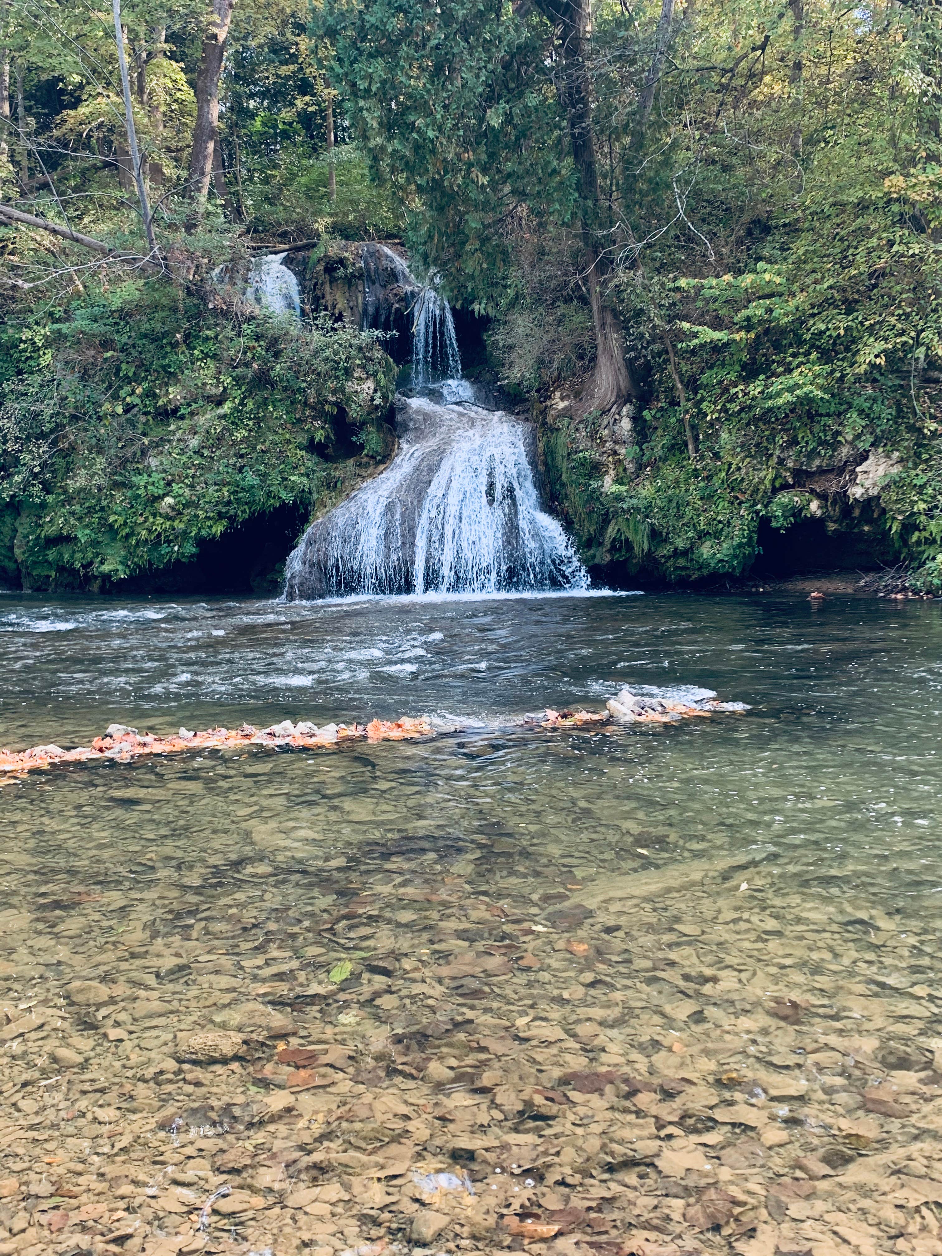 Camper submitted image from Shenandoah Valley Campground - 4