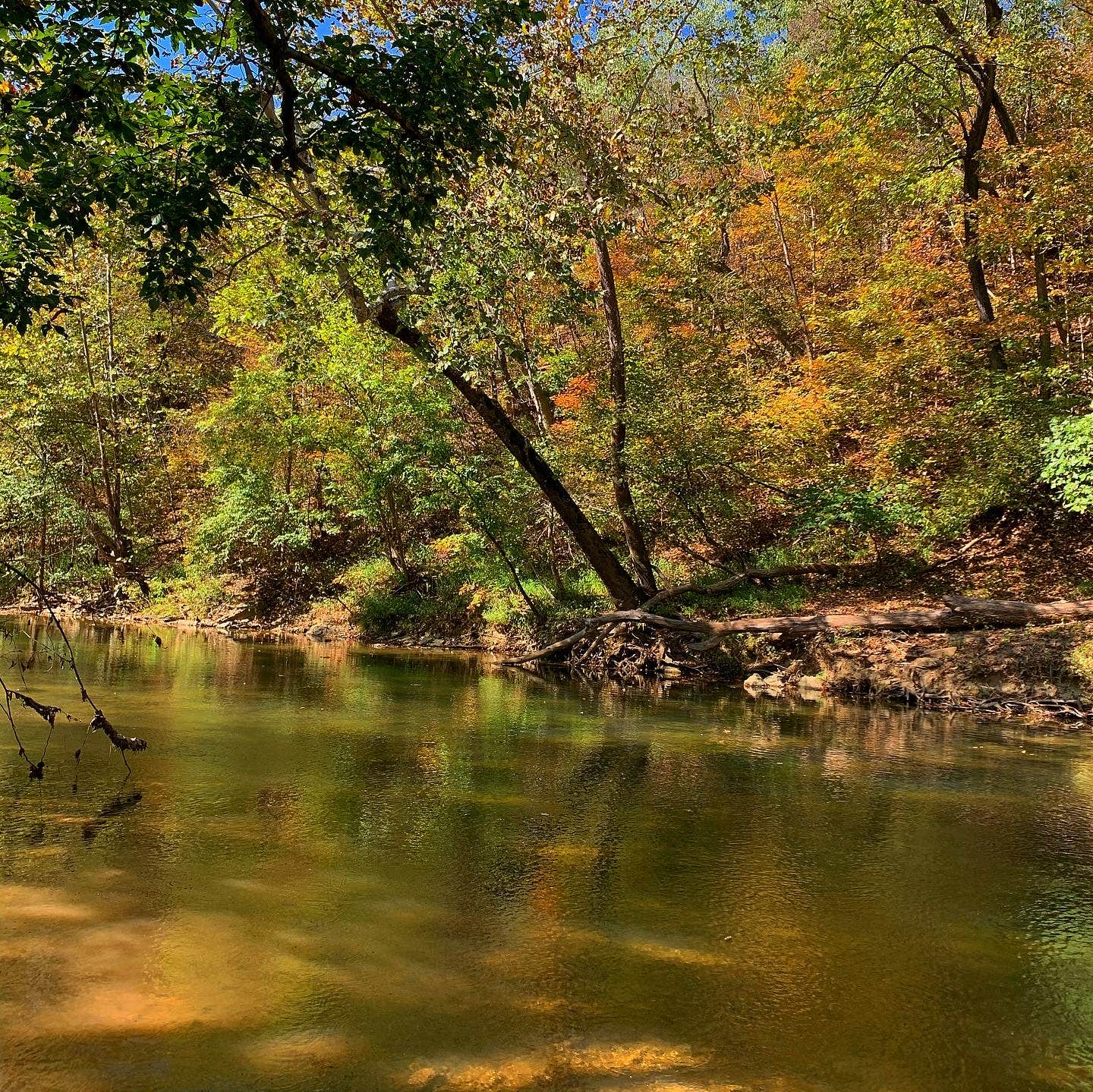 Camper submitted image from Shenandoah Valley Campground - 2