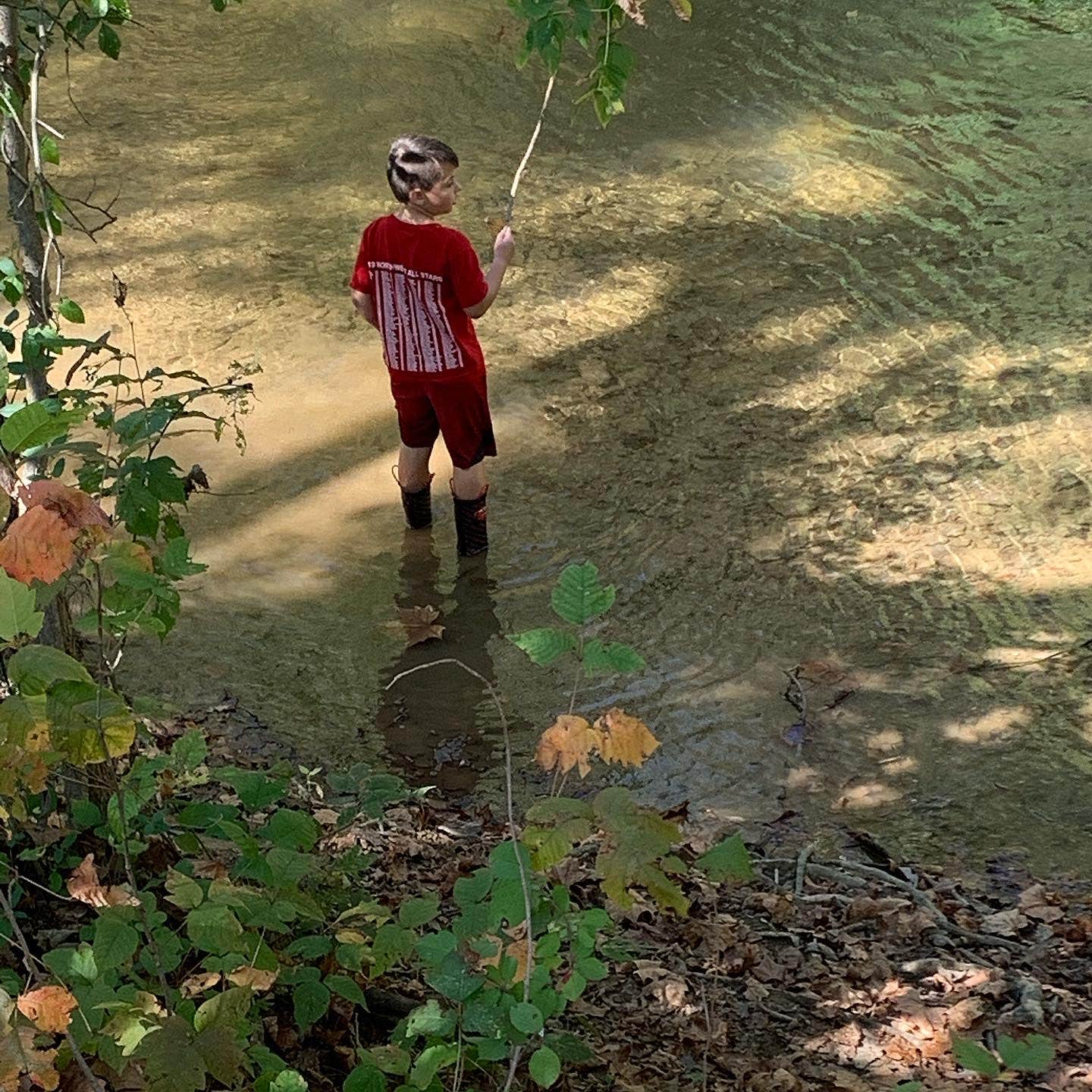 Camper submitted image from Shenandoah Valley Campground - 3