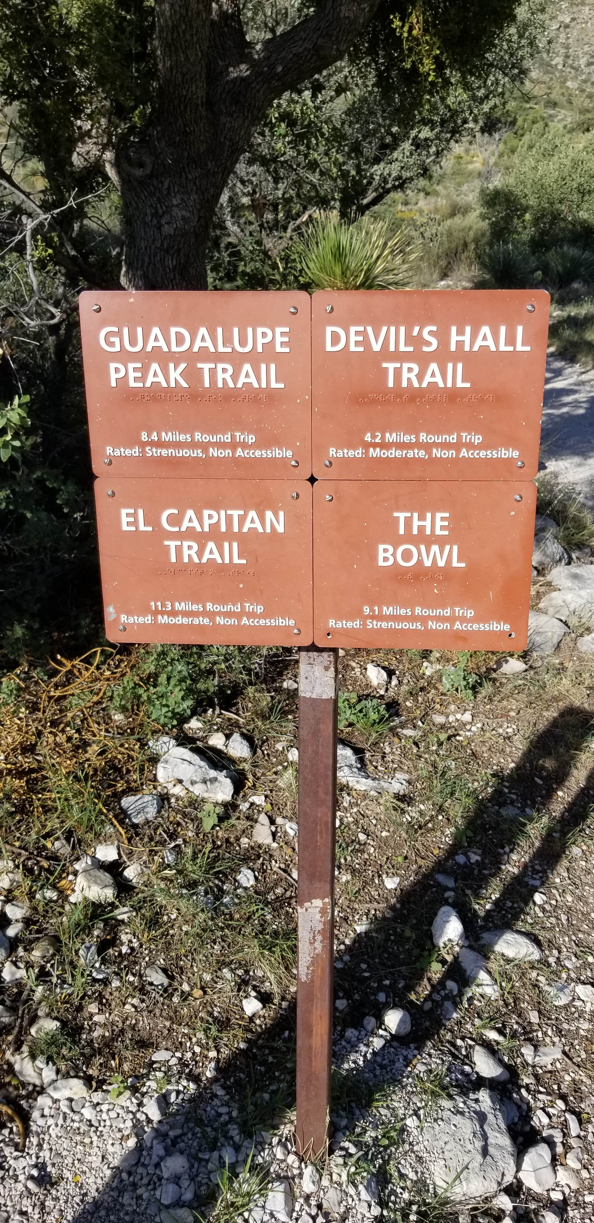 Camper submitted image from Pine Springs Campground — Guadalupe Mountains National Park - 5