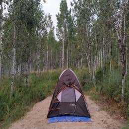 Pine Creek - Cottonwood Campground — Wasatch Mountain State Park