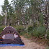 Review photo of Pine Creek - Cottonwood Campground — Wasatch Mountain State Park by Jim H., August 16, 2017