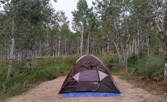 Jim H.'s photo at Little Deer Creek Campground — Wasatch Mountain State Park near Park City, UT